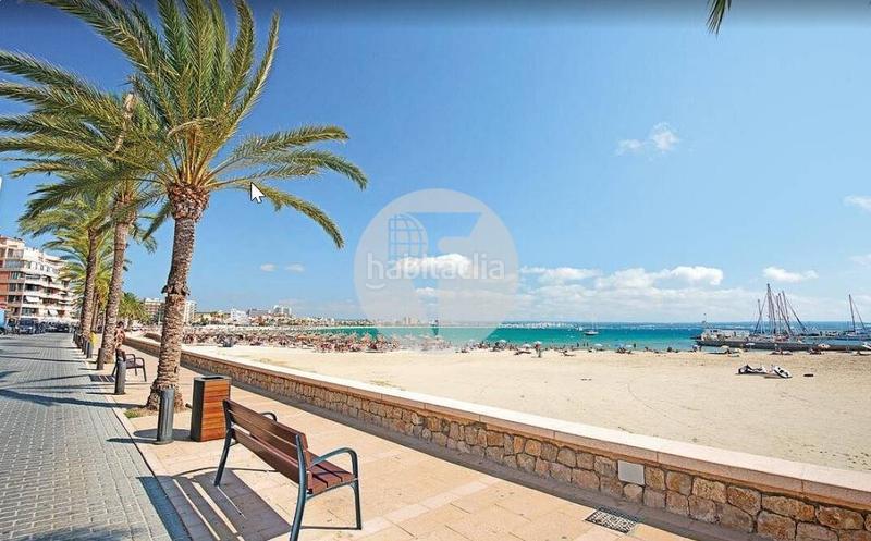 Foto 10cf601e-6edf-4e46-8751-dff5fa74b92f. Planta baixa amb calefacció a Can Pastilla Palma de Mallorca