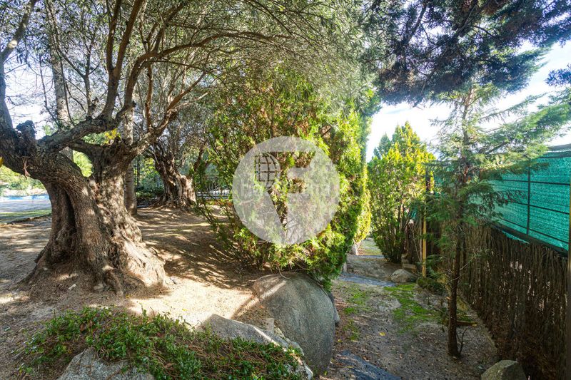 Foto 14c9aaff-fbe7-4ec7-8865-9c3259cd39b3. Casa amb calefacció aparcament piscina a Molino de la Hoz Rozas de Madrid (Las)