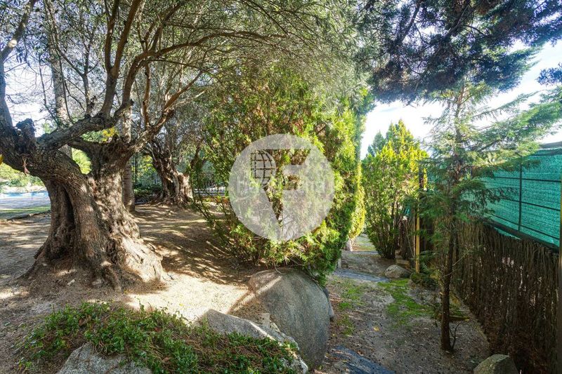 Foto 16da6baa-efa1-4367-bec0-a89adf334c5b. Casa amb calefacció aparcament piscina a Molino de la Hoz Rozas de Madrid (Las)