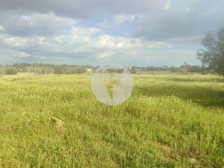 Terreny residencial a Algaida. Oportunidad  exclusivo terreno urbanizable