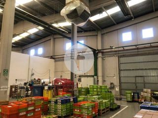 Miete Fabrikhalle in Abrera. Nave industrial aislada de 3.650 m en abrera, distribuida en 3.2