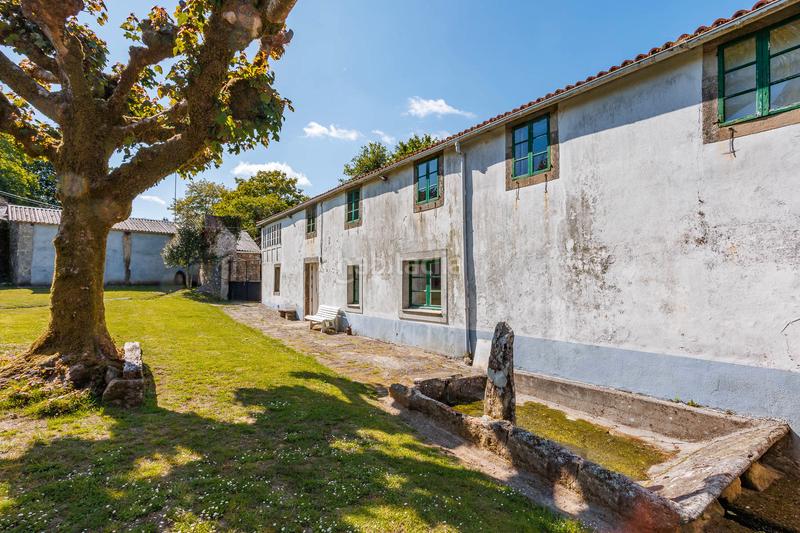 Foto 671d4868-63f2-44e4-b245-77f46baddeda. Mas dans Curtis