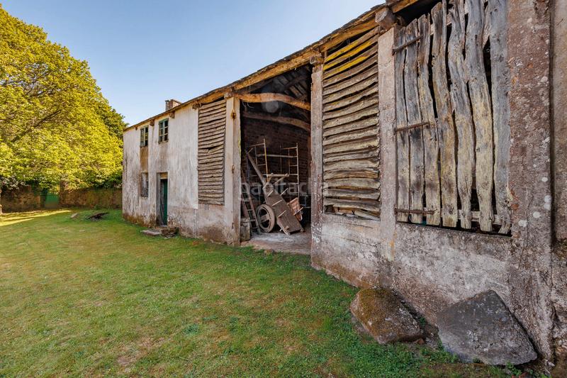 Foto 683a5a62-2367-4e96-91b3-c277aa574b6a. Mas dans Curtis