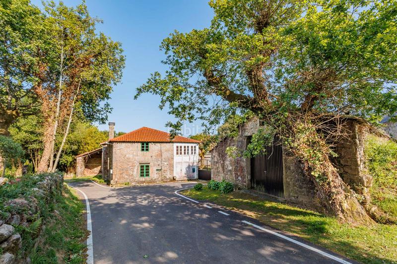 Foto 72c541c5-7e27-4fb7-aab9-4194c3d370a0. Mas dans Curtis