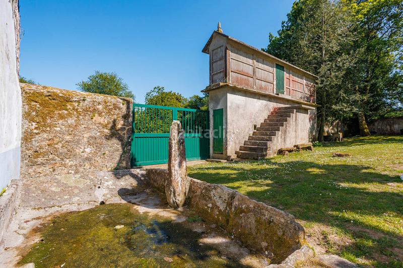 Foto f7d44579-93c0-443b-a5c6-64f604a71d5b. Mas dans Curtis