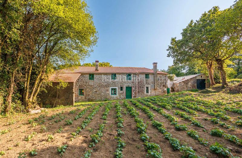 Foto fd2212d9-4593-4c07-b062-6ba84f46618d. Mas dans Curtis