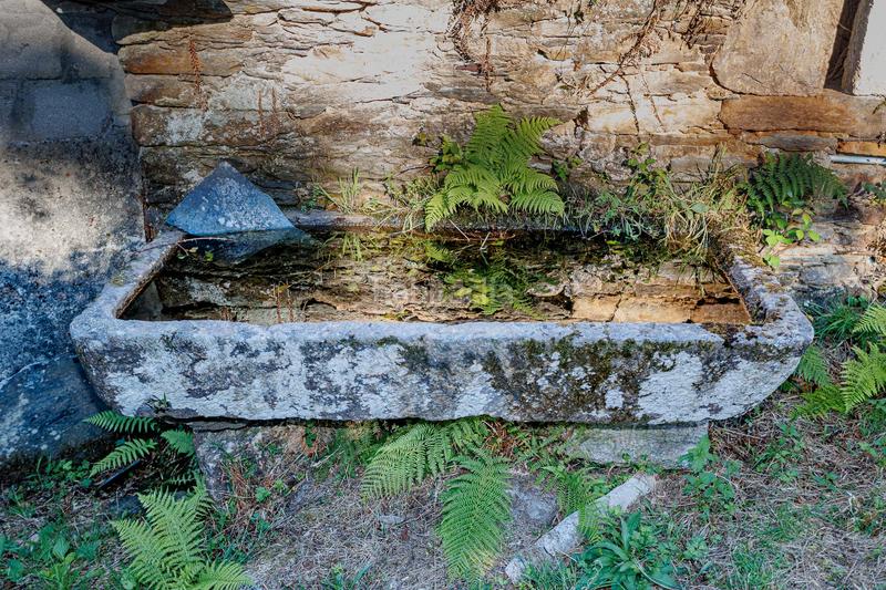 Foto e95f5149-f575-4ac5-9a59-b3ad763d4241. Casale in Somozas (As)