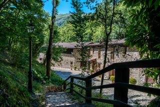 Local Comercial a Peñamellera Alta. Hotel rural con restaurante y 5 casas en alles, picos de europa