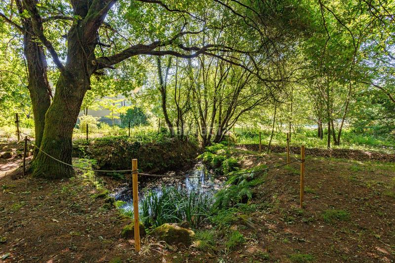 Foto a1aaaa61-3a86-4058-ba6a-6014403306ce. Local comercial granja escuela con piscina y áreas de recreo en ourense en Coles