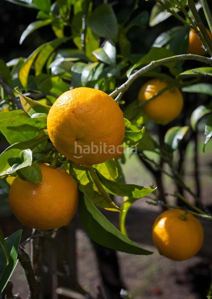 Foto 3971309d-caef-4e28-bc9b-f6421cf390bb. Masía casa reformada cerca del mar en Cedeira