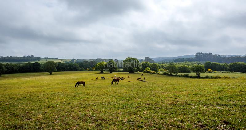 Foto 3d7d3950-eefa-4763-955e-a38862624969. Masía casa rústica con 11 hectáreas de terreno en Friol