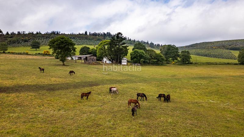 Foto 9fb1006f-6a95-4168-90a7-a6ff03aeec5c. Masía casa rústica con 11 hectáreas de terreno en Friol