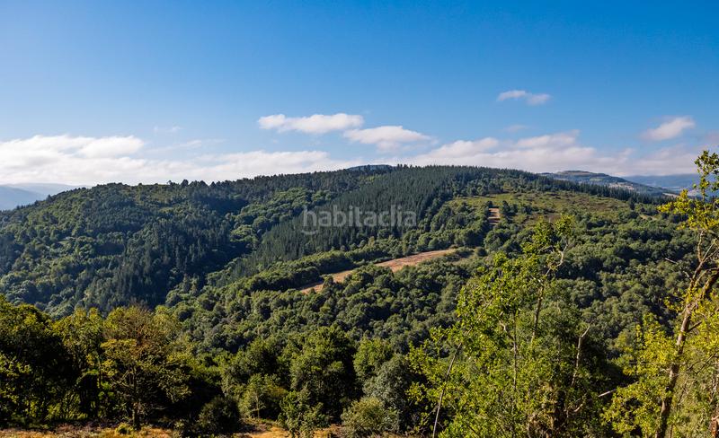 Foto ccec92f9-b8e7-48a5-893a-632770418e7d. Masia a Becerreá
