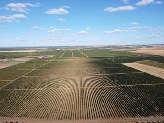 Finca rústica a Rueda. Viñedo de 42 hectáreas do rueda en valladolid