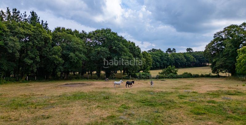 Foto d47d3895-27d7-4f12-bb37-0a6211e653bc. Masia a Begonte