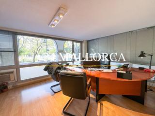 Local Comercial a Jaume III. Exclusivo despacho de 255m2 en paseo mallorca
