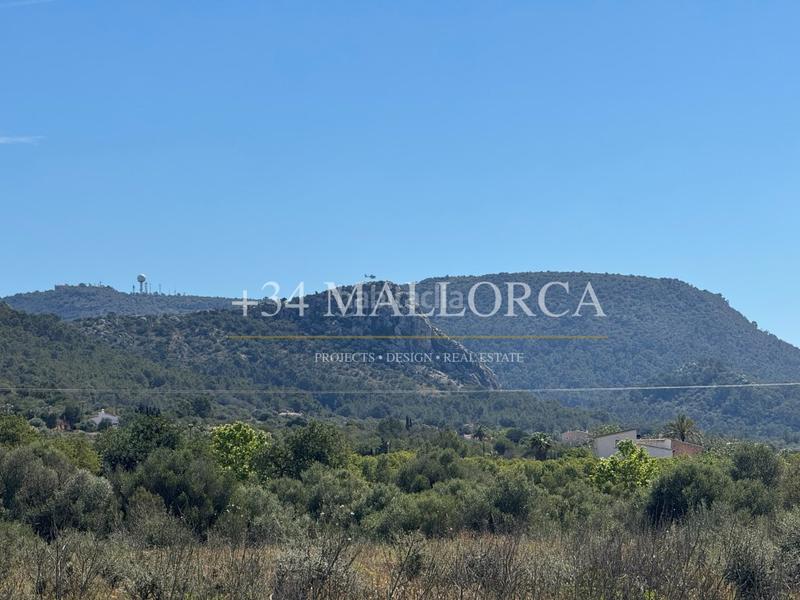 Foto 3f5e648f-3122-479e-babc-eba9aed416bf. Fondo rustico in Llucmajor interior Llucmajor