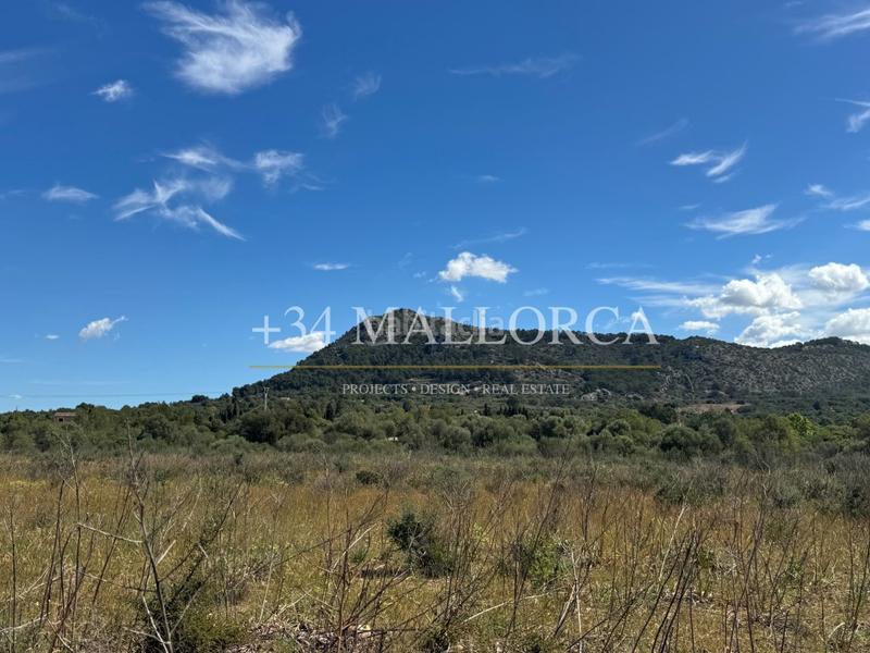 Foto ad63fc37-0a61-4ad2-b8e2-a51d813b3bb1. Fondo rustico in Llucmajor interior Llucmajor