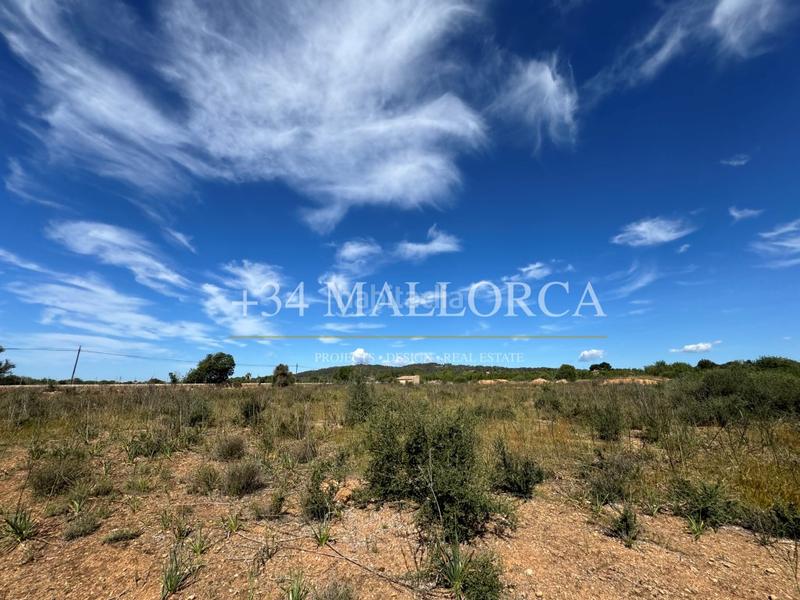 Foto cd65be90-da69-4a58-8e40-78fb6812e8ee. Fondo rustico in Llucmajor interior Llucmajor