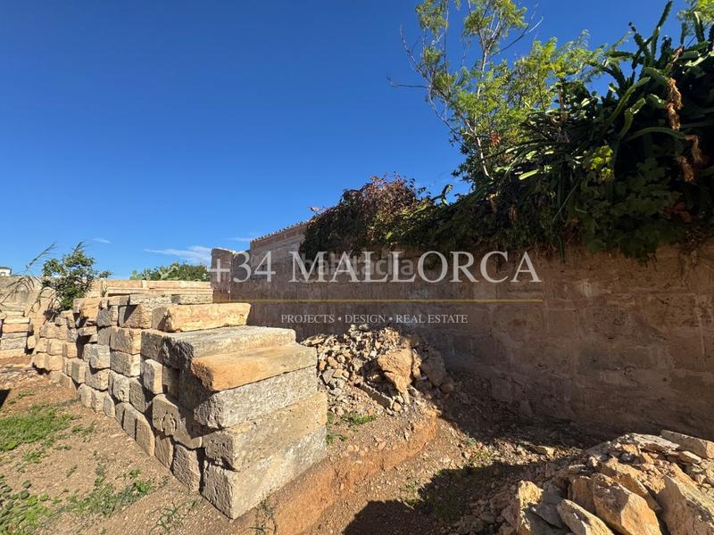 Foto 6a8d4123-b21b-4c18-a014-354f0d1b3baa. Terreny residencial a Llucmajor interior Llucmajor