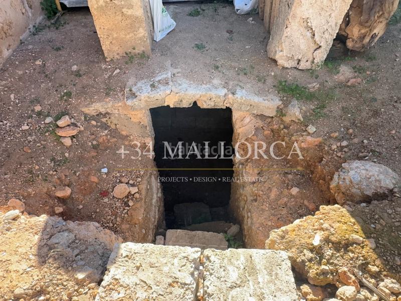 Foto 7c56e198-60a7-4fb9-9652-0f5356b2c45b. Terreny residencial a Llucmajor interior Llucmajor