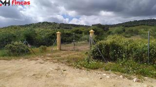 Casa en Se530 10. Impresionante dehesa de 35 hectareas en plena sierra de sevilla