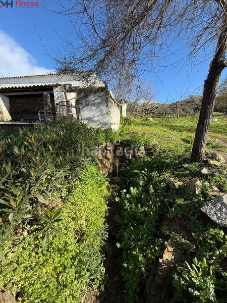 Foto 096bcb03-97fd-4088-86f9-f2cb687900f6. Masia a el pedroso 0 a Pedroso (El)