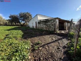 Masia a El pedroso 0. Impresionante finca en venta en el pedroso, sevilla!