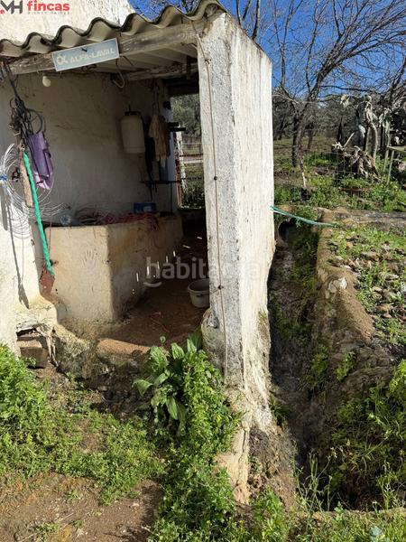 Foto 0d5f8fe3-11b0-4ba5-9a38-8b20443f6509. Masia a el pedroso 0 a Pedroso (El)