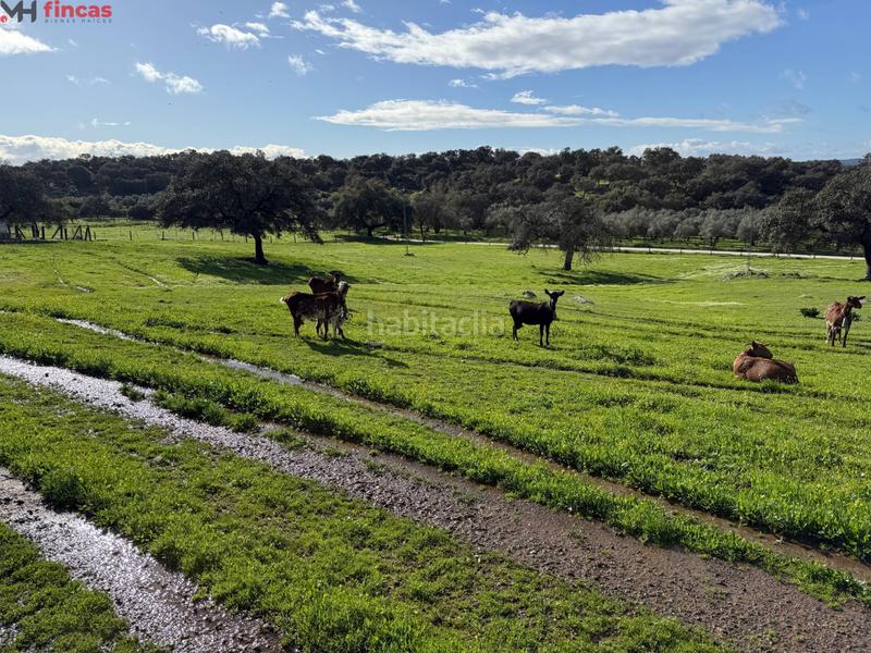 Foto 0e712809-524b-4bde-8404-774821dfc2e1. Masia a el pedroso 0 a Pedroso (El)
