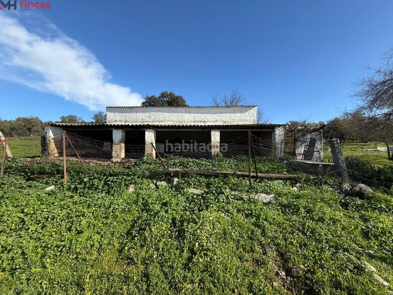 Foto 20684bcd-ecfc-4fa9-b9ad-7c8bf44bc965. Masia a el pedroso 0 a Pedroso (El)