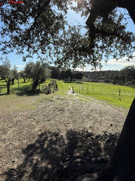 Foto 2dcc40fe-8279-429c-960b-62f00e05a64a. Masia a el pedroso 0 a Pedroso (El)