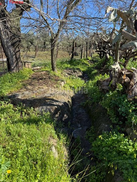 Foto 2f7b6a45-1de9-4c70-b342-572fe7c06ffc. Masia a el pedroso 0 a Pedroso (El)