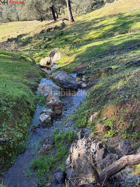 Foto 2fa64e42-eb6f-4bb4-9420-db885e66e004. Masia a el pedroso 0 a Pedroso (El)