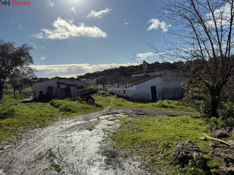 Foto 36c66abd-2c32-42d8-b3e3-33e611b44c4f. Masia a el pedroso 0 a Pedroso (El)