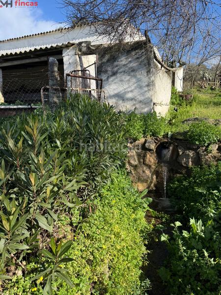 Foto 3ae1edea-d2c5-4aba-85e9-9e5eb8c4d6a7. Masia a el pedroso 0 a Pedroso (El)