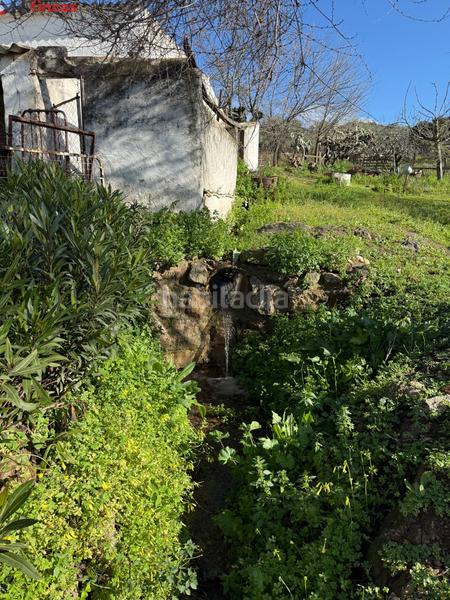 Foto 43a0ff31-00f9-4db6-ae22-a7f04448ee72. Masia a el pedroso 0 a Pedroso (El)