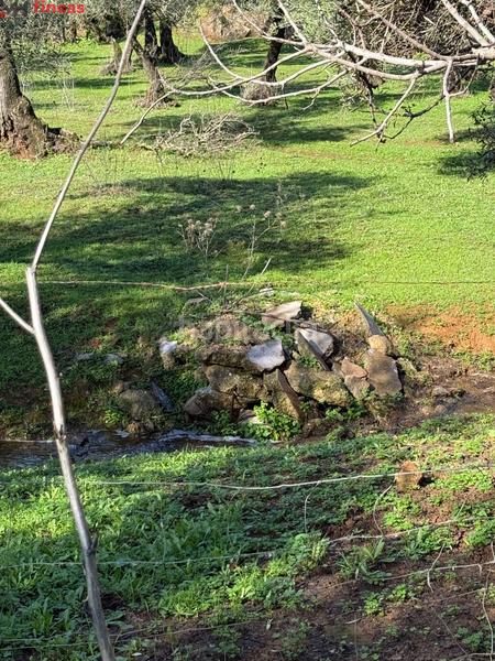 Foto 459b8307-1e59-4322-9f09-246d1bdc095c. Masia a el pedroso 0 a Pedroso (El)