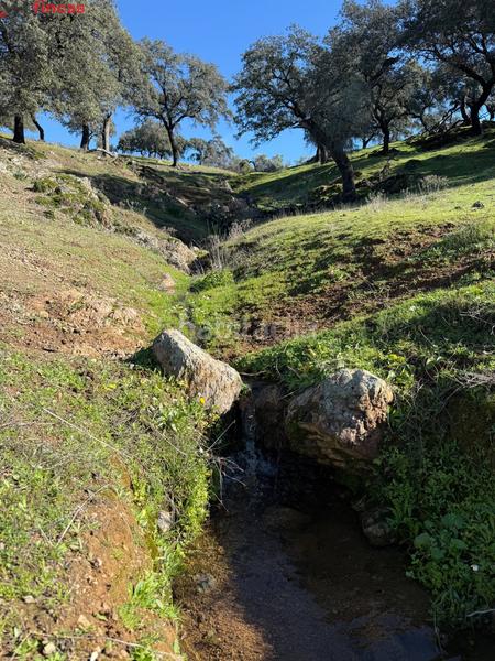 Foto 470ece0d-839e-458b-8aa3-84df9884aa6f. Masia a el pedroso 0 a Pedroso (El)