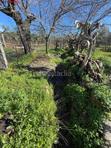 Foto 512e21b9-1351-4a22-87c5-d6313675e31d. Masia a el pedroso 0 a Pedroso (El)