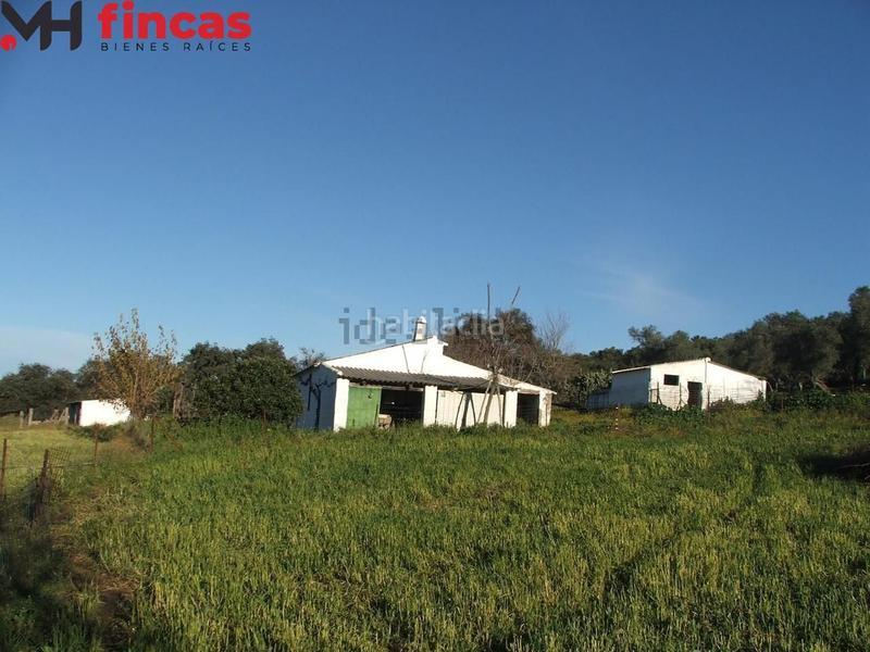 Foto 53794af7-9d57-4de1-880a-e68c373b3ff2. Masia a el pedroso 0 a Pedroso (El)