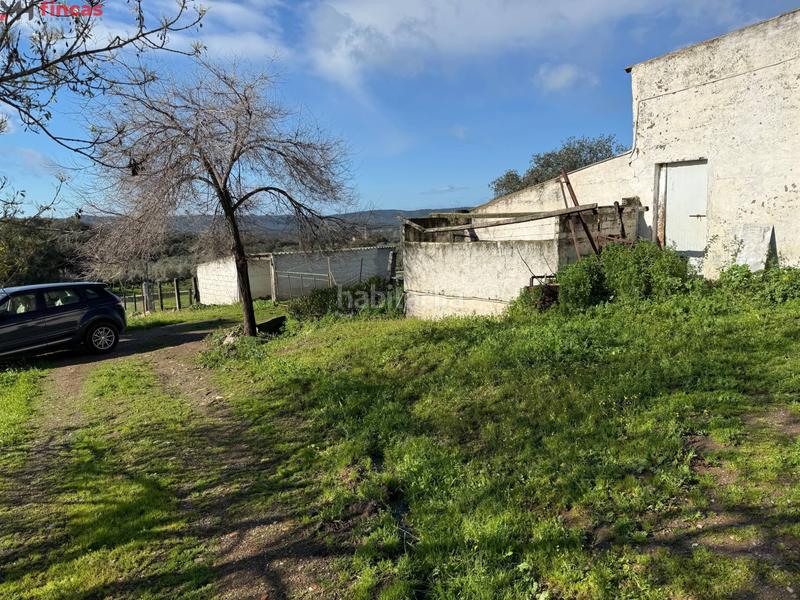 Foto 579d1af4-bf62-40a6-8ee3-ec8371e98aea. Masia a el pedroso 0 a Pedroso (El)