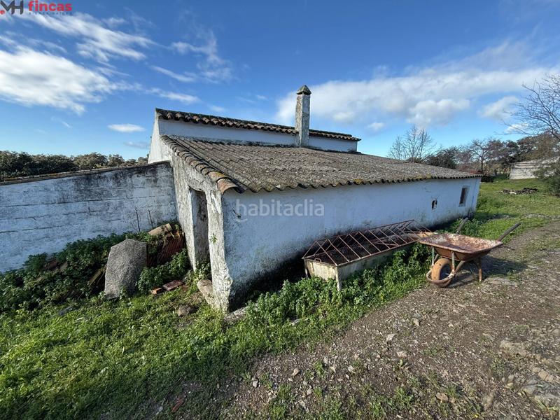 Foto 595ced7d-0c48-4993-992f-3fb5ba406646. Masia a el pedroso 0 a Pedroso (El)