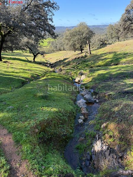 Foto 5b3daa0c-c6c8-44e7-9042-119edb93ee25. Masia a el pedroso 0 a Pedroso (El)