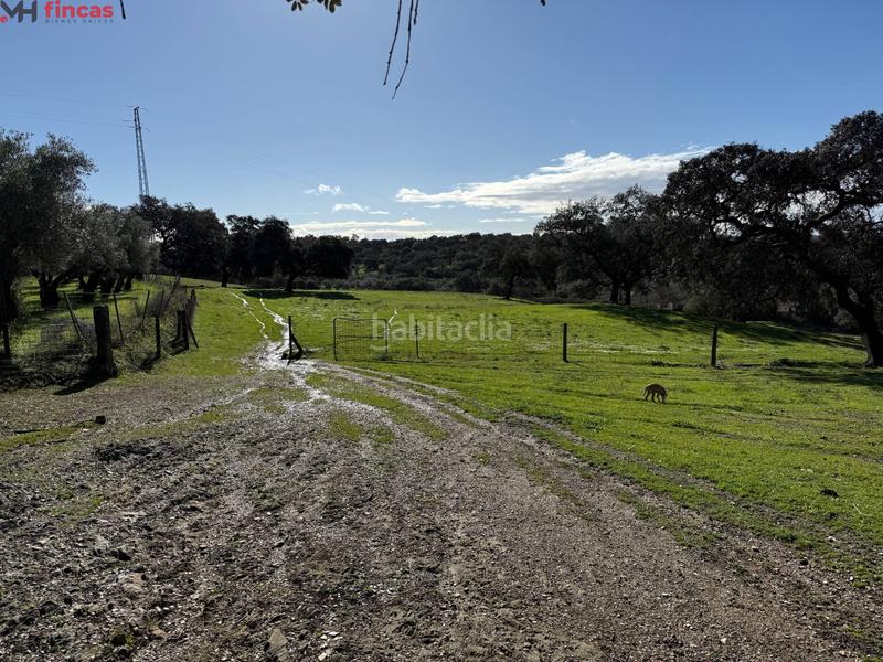 Foto 5bce9fb9-21d8-4f29-a6d1-dff82bfeb51a. Masia a el pedroso 0 a Pedroso (El)
