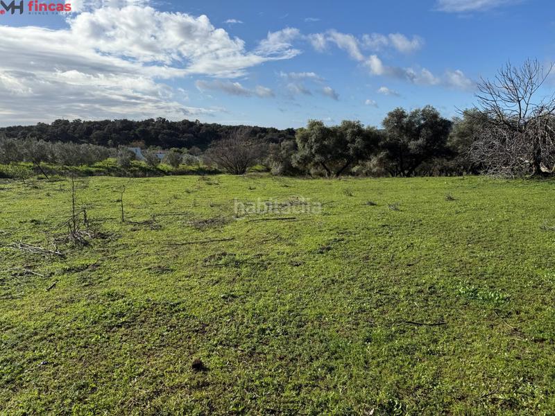 Foto 5d8b42a7-6bb0-4b50-9069-edb104a0cbf5. Masia a el pedroso 0 a Pedroso (El)