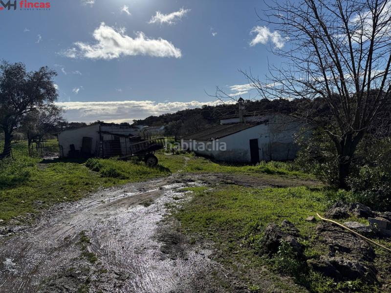 Foto 61ee7fe5-296a-4460-84b6-8bc4d447d5d1. Masia a el pedroso 0 a Pedroso (El)