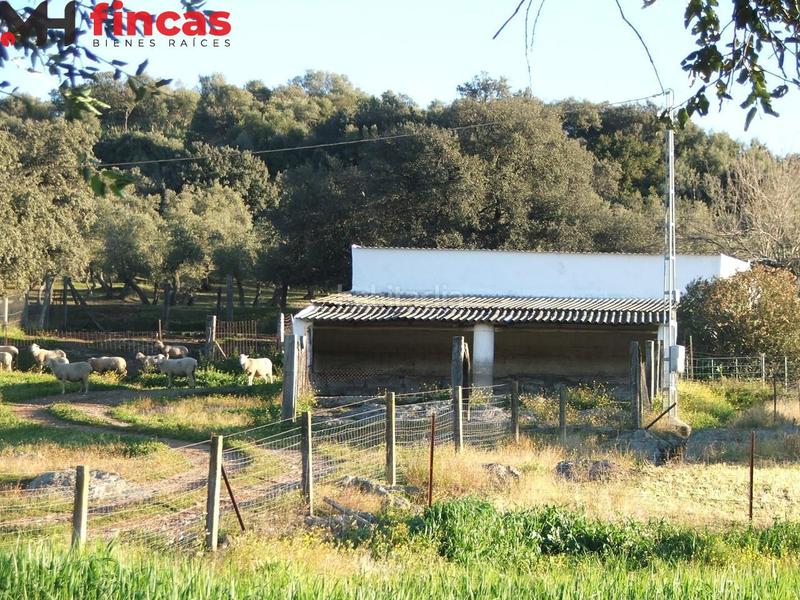 Foto 6c3b11a3-3ed2-48a0-bb5d-a4bd0bf94625. Masia a el pedroso 0 a Pedroso (El)