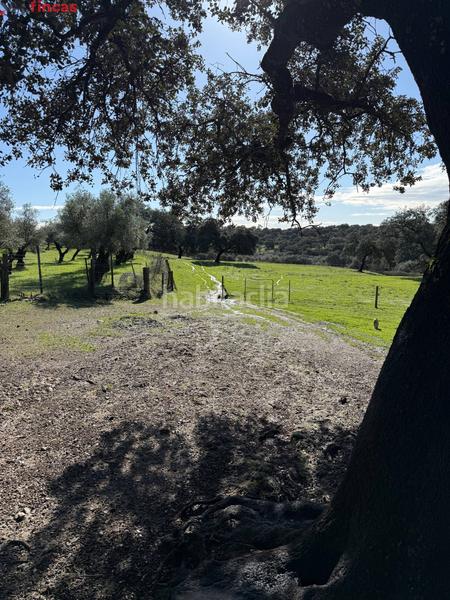 Foto 6fc853db-f736-4c8e-9c58-e3c601172f20. Masia a el pedroso 0 a Pedroso (El)