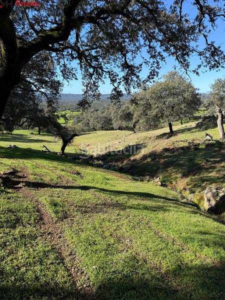 Foto 72ef96df-4c86-462e-8f25-04e7377283a0. Masia a el pedroso 0 a Pedroso (El)